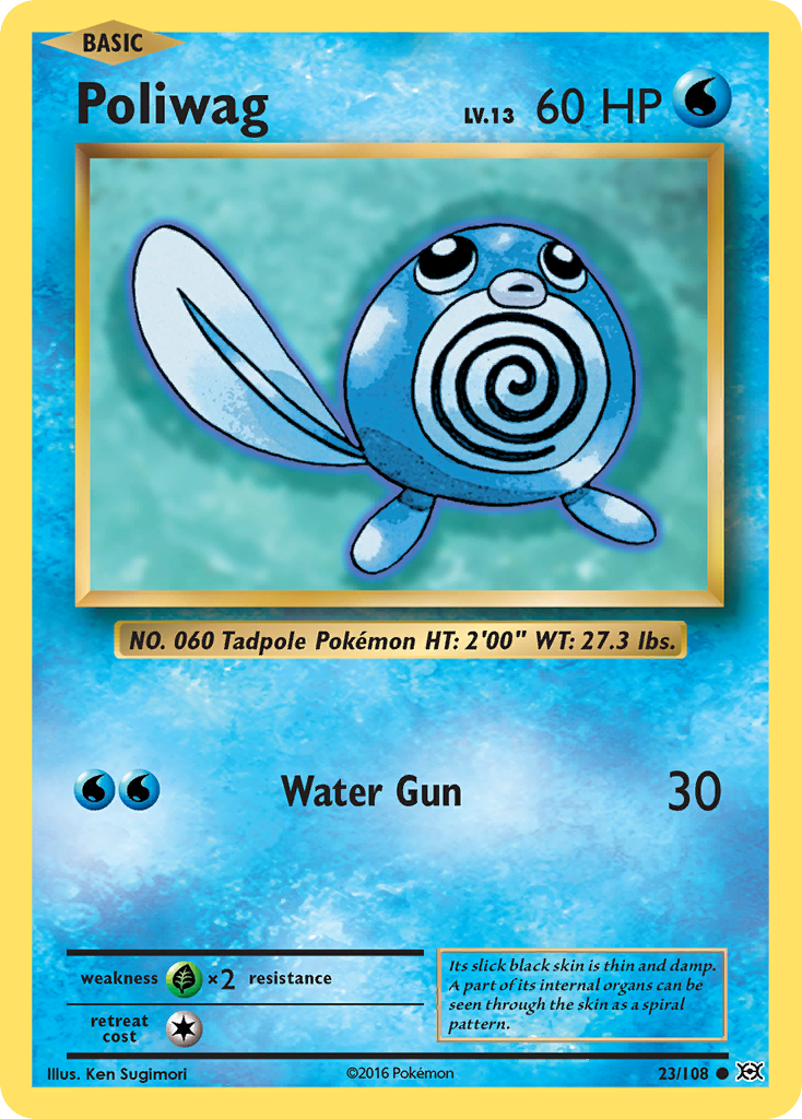 Poliwag (23/108) [XY: Evolutions]